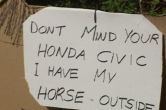 horse