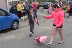31-pig