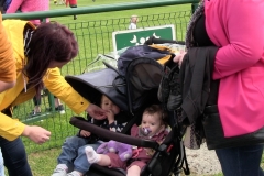buggy2
